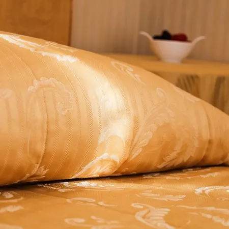 Hotel Ristorante Ca' Nova Venetië